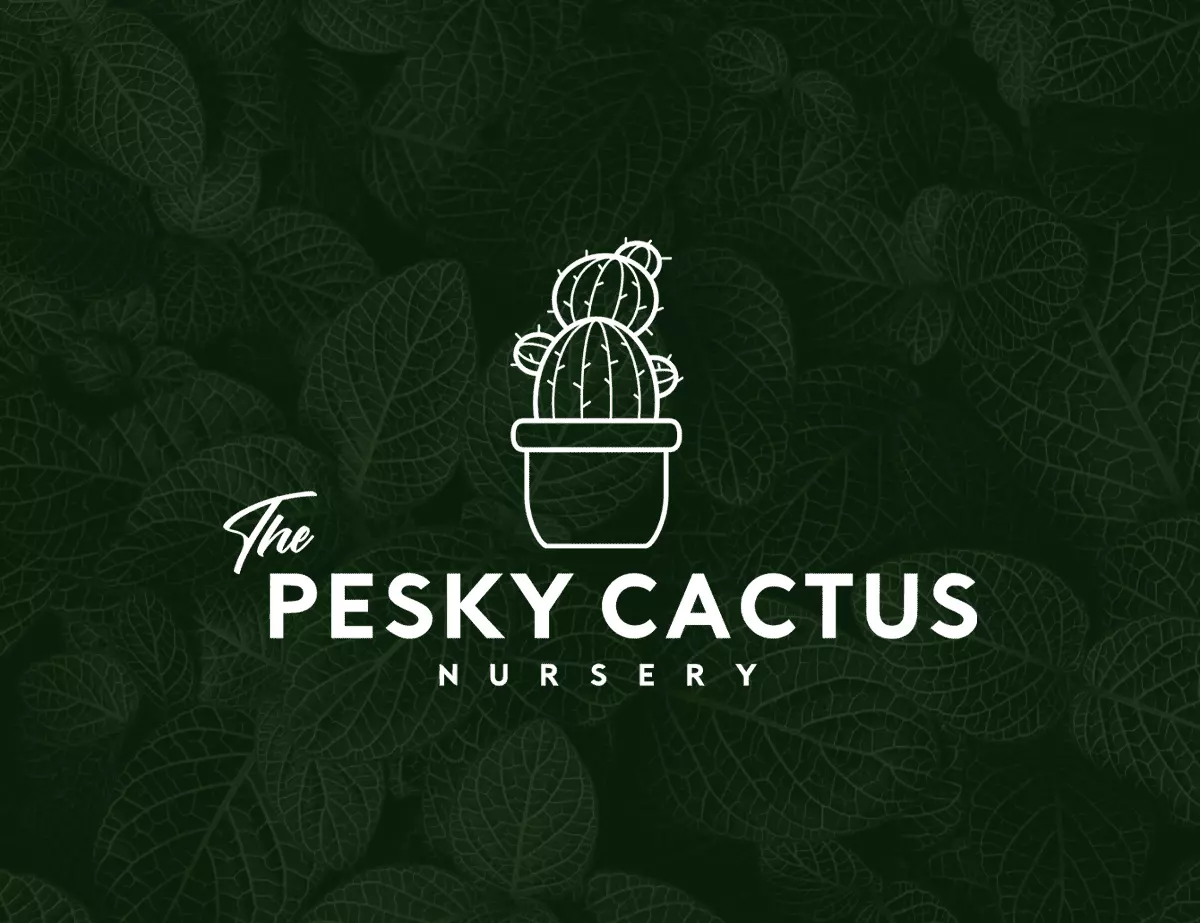 The Pesky Cactus